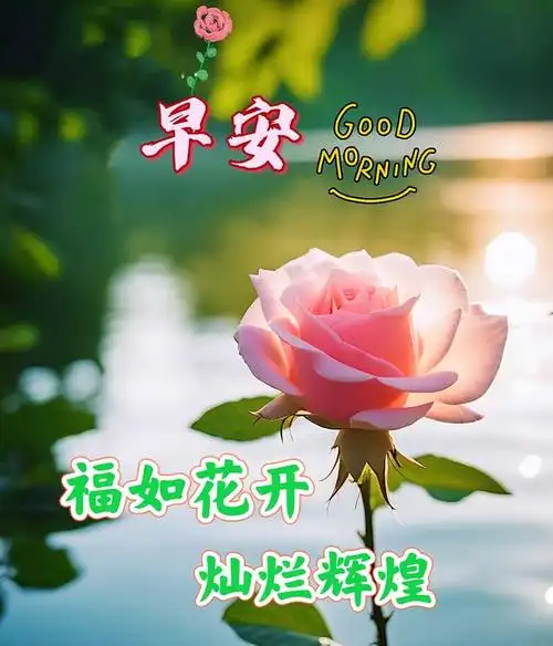 2024年7月16日最新早上好祝福语图片大全 精选早安问候祝福图片带字