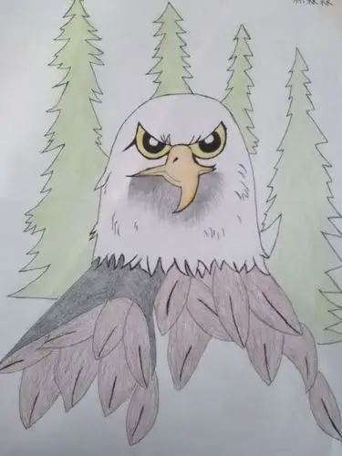 初中部美术作品展