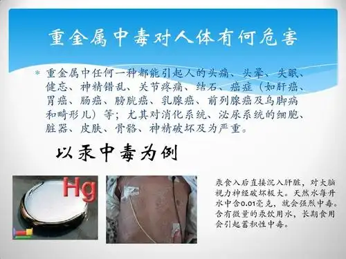 螺旋藻中重金属的检测ppt_word文档在线阅读与下载_无忧文档