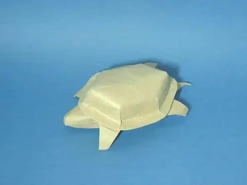 骨灰级折纸折老乌龟欣赏