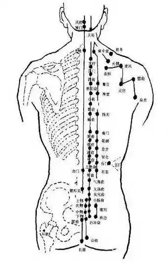 腰背部常用穴位位置和主治疾病
