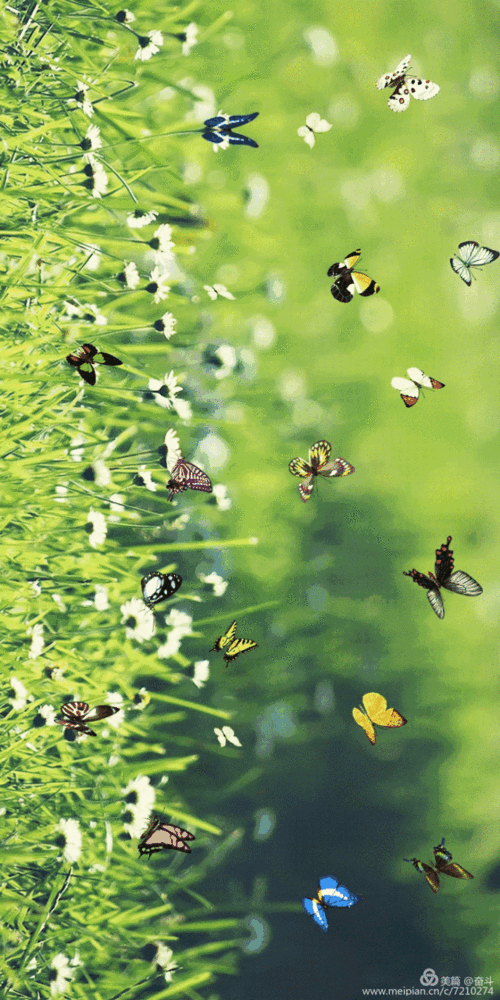 亲爱的朋友们,在春暖花开的季节,送你最美的花朵及山水动图.