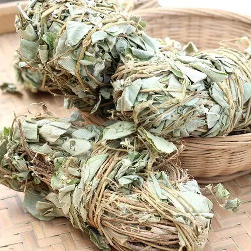 海金沙车前草金钱草可同吃吗海金沙车前草金钱草可同吃吗海金沙车前草