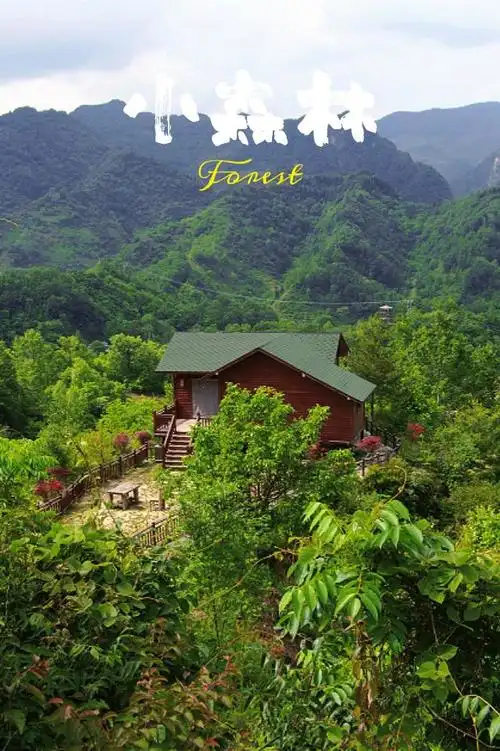 隐藏于康县山林之中的民宿,推窗,就是一片世外桃源