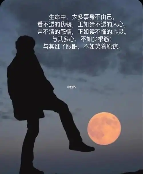 如果我消失了那一定是看透了人间丑态