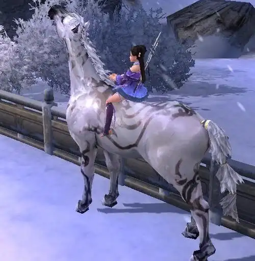 还有什么办法可以获得漂亮的马?