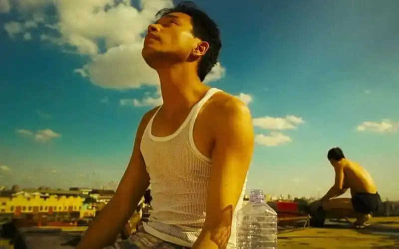 国产片中的人口流动和流动人口:个人,家庭,时代和国家|春光乍泄|归途