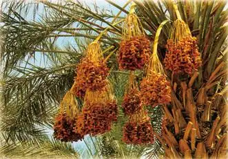 【走读圣经(六)】约翰的洗礼