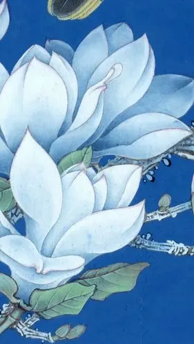 李晓明老师新作《玉兰黄鹂》