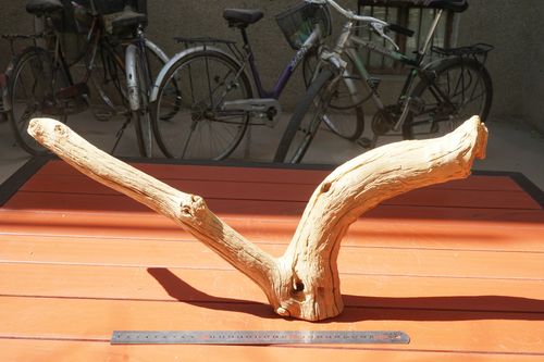 18号 新疆哈密戈壁胡杨木