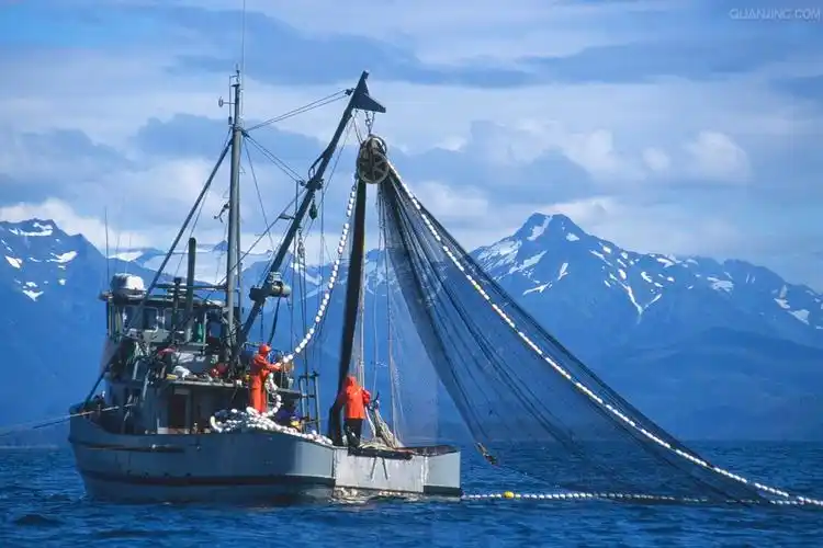 各类渔船(桁杆拖网船,定置刺网船等)是怎么捕鱼的? - 知乎