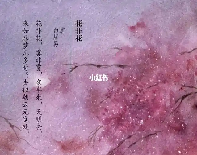 8215古诗词|唐·白居易|《花非花》