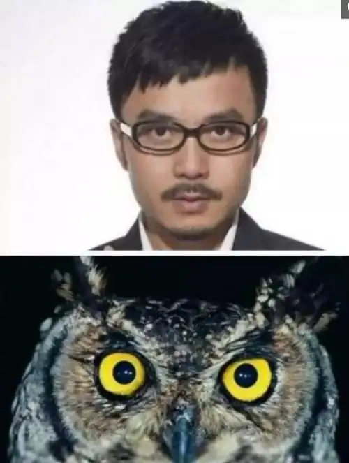 搞笑| 动物们那些撞脸明星的超搞笑瞬间