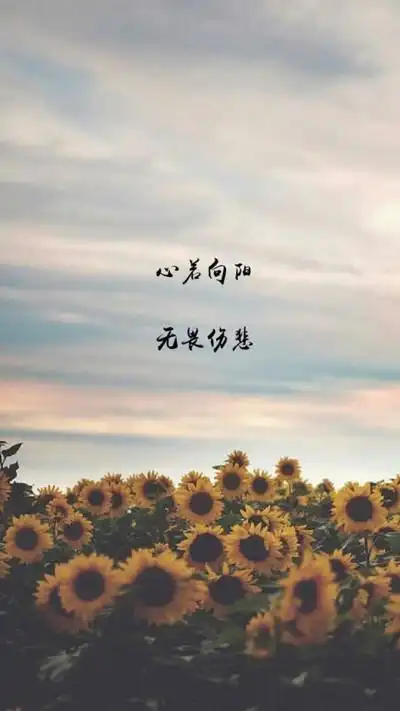 自制壁纸 文字 句子 温暖 治愈 清新 正能量 励志 iphone 6壁纸(文字