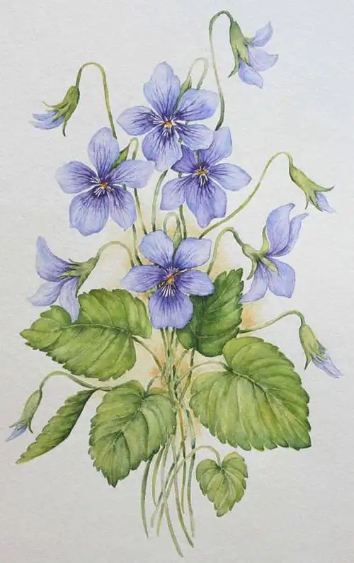 源于百度"水彩花卉",若有侵权请告知,必删