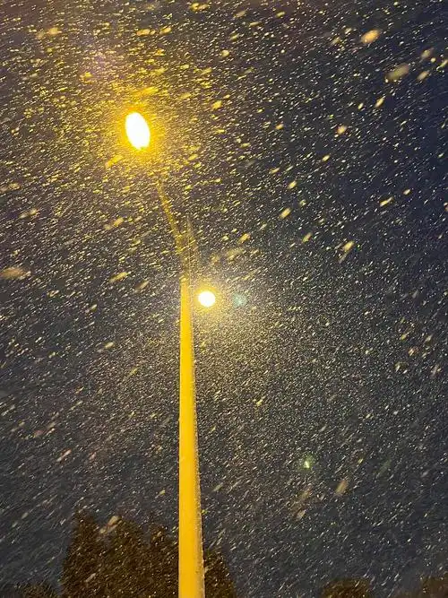 路灯下的雪