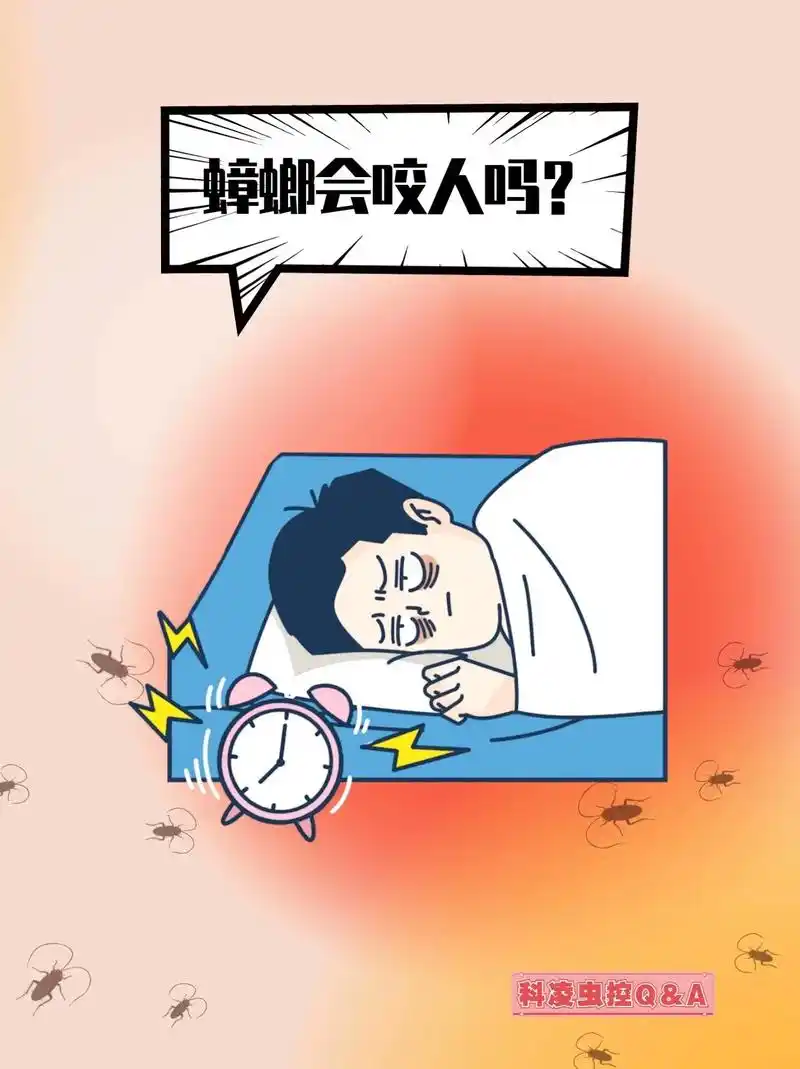 杀蟑胶饵怎么使用.蟑螂是会咬人的,比如会 - 抖音