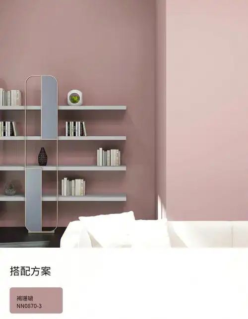 立邦网红色号褐珊瑚