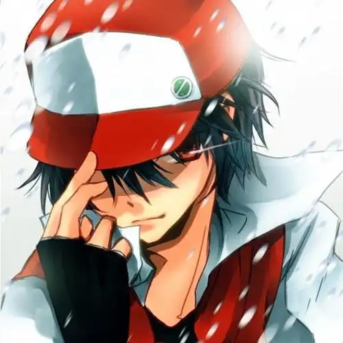 求这张小智的大图