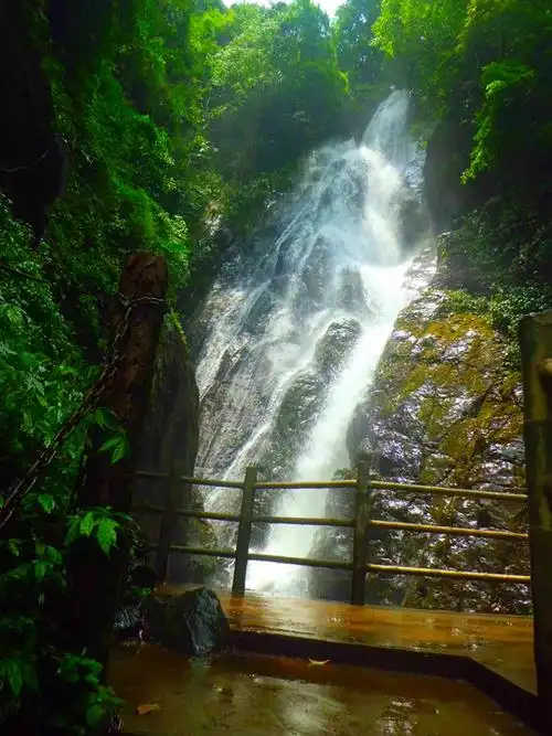 肇庆盘龙峡,一个有薰衣草和风车的地方图片216,广东省旅游景点,风景