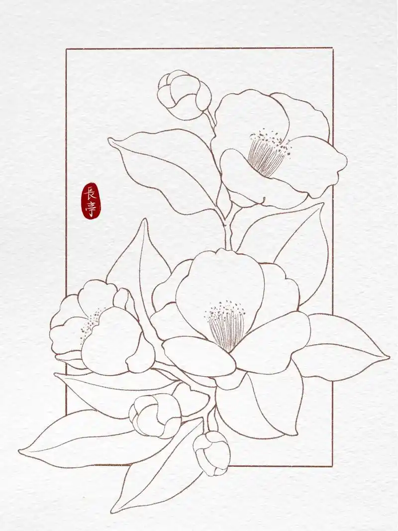 零基础学插画植物主题打卡第八天山茶花