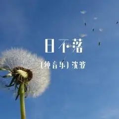 沈波- 日不落(纯音乐)