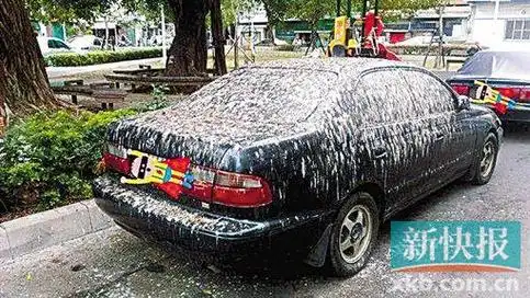 露天停车落鸟屎?千万别硬铲!