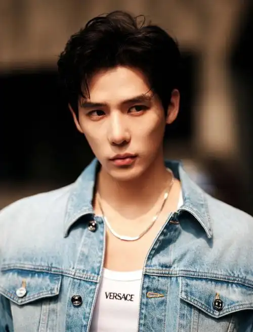 王安宇##王安宇小巷人家