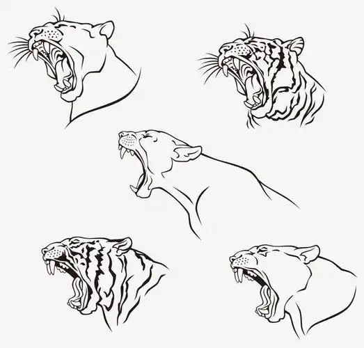 关键词 : 张嘴,獠牙,凶猛,简笔画,免扣png,矢量