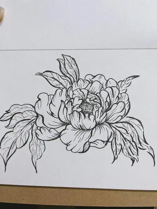 牡丹的花语是圆满,浓情,富贵,吉祥,幸福,雍容华贵,国色天香.