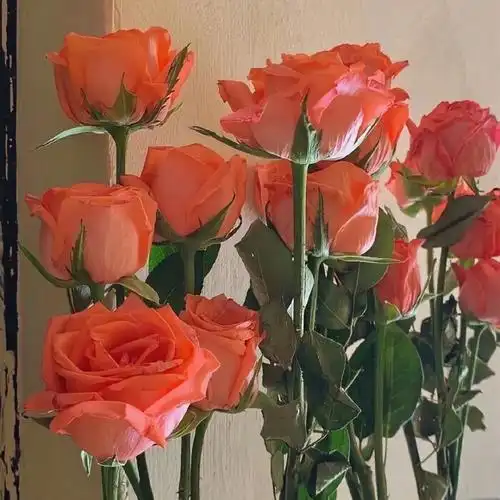 高级感qq封面背景图