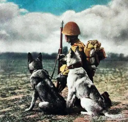 一组珍贵的二战日军彩色照片