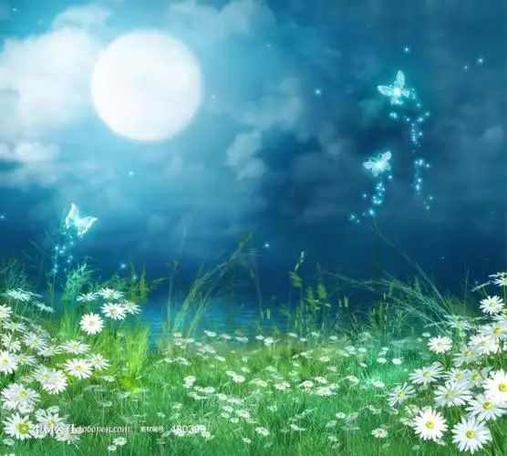 高清唯美月光下的草地背景场景素材图片