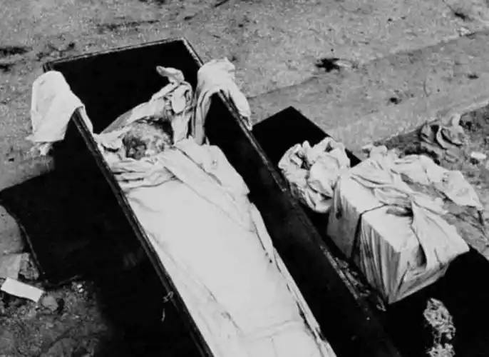 杨虎城被害脸被融掉,多亏假牙确定身份,曾孙却祝凶手活到110岁_将军