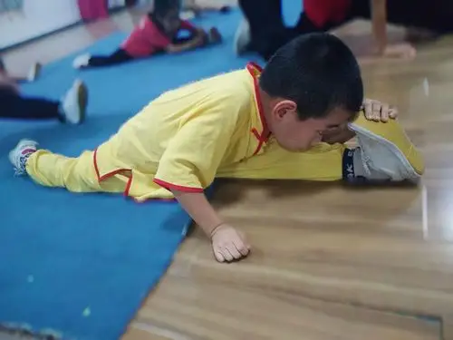 宝宝功夫――体苑武道