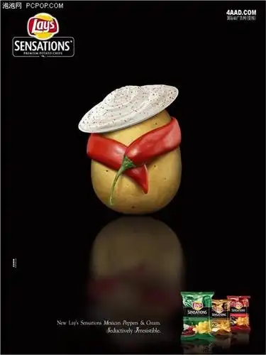 前沿创意体验 十大经典平面广告欣赏(5)