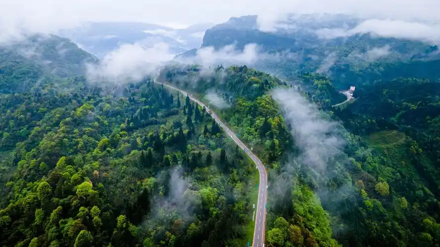 谁能告诉我一下雅安的海子山在哪里呀?哪里有什么好玩的吗? - 知乎