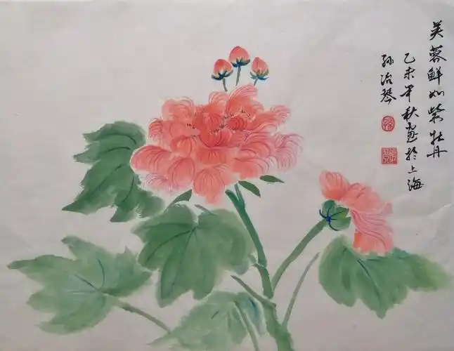 芙蓉花