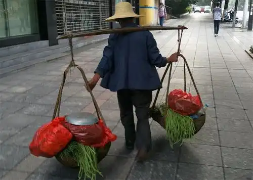 半片竹竿挑翻蒋家王朝,一根扁担担起中华复兴