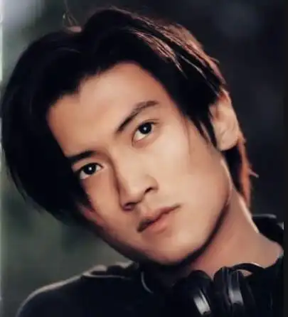谢霆锋年轻时有多帅?