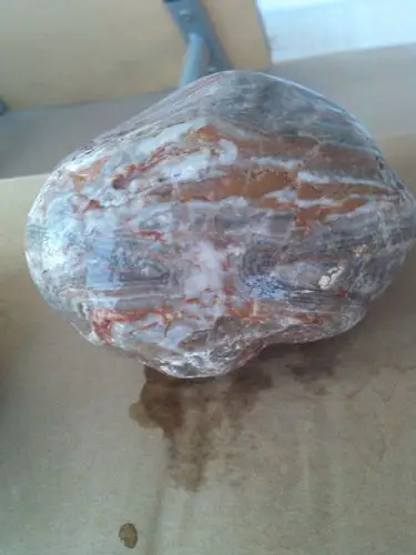 河里捡来几块石头,请专家看看.