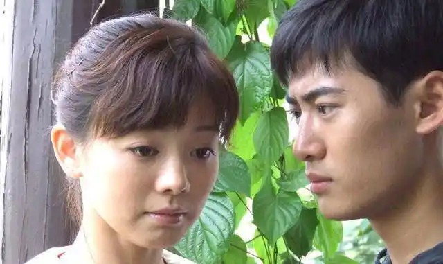 为什么电视剧《悠悠寸草心》又是一个催人泪下的故事