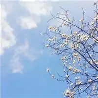 个性清新风景简单头像