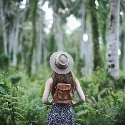 小清新女生头像 森林背影