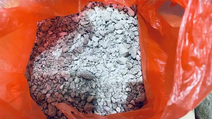 锂云母样品,邓宇晨摄