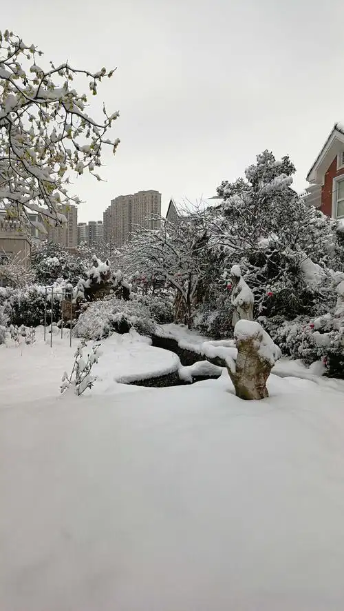 一场大雪美如画,锦绣江南变雪乡!