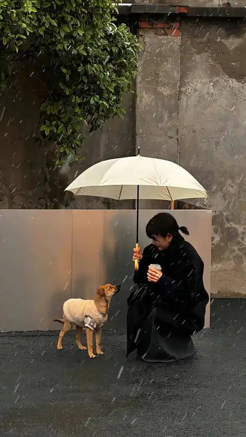 ins风极简手机壁纸