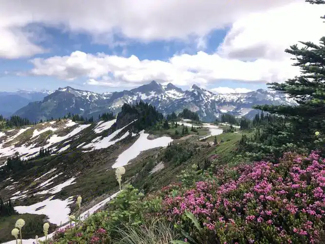 西雅图day6雷尼尔山国家公园