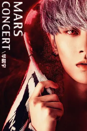 华晨宇 演唱会 海报