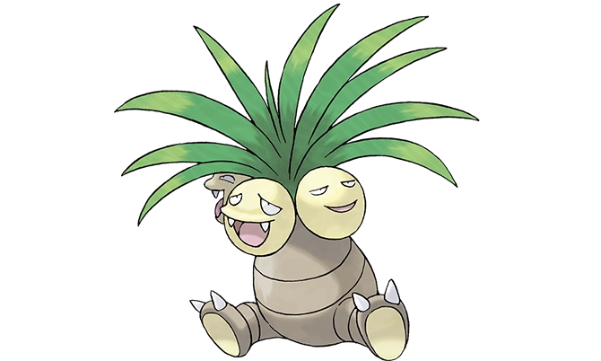 椰蛋树阿罗拉的样子